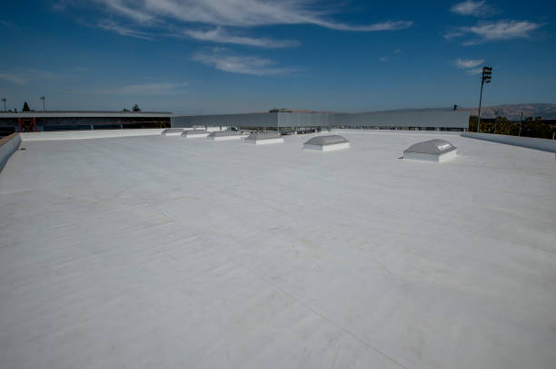 Best Rubber Roofing (EPDM, TPO)  in South Haven, MI