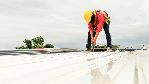 Best Steel Roofing  in South Haven, MI
