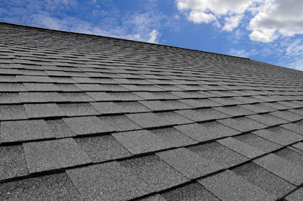 Best Metal Roofing Installation  in South Haven, MI
