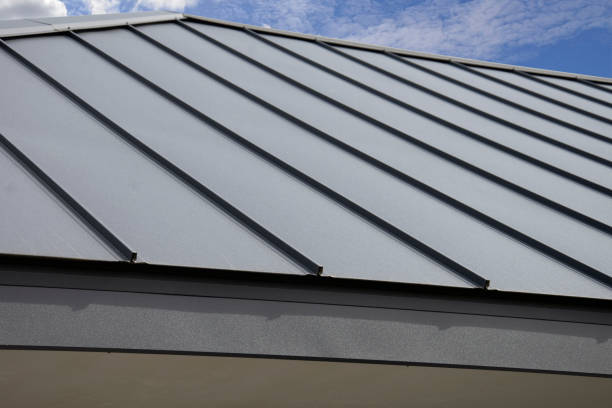 Best Solar Panel Roofing Installation  in South Haven, MI